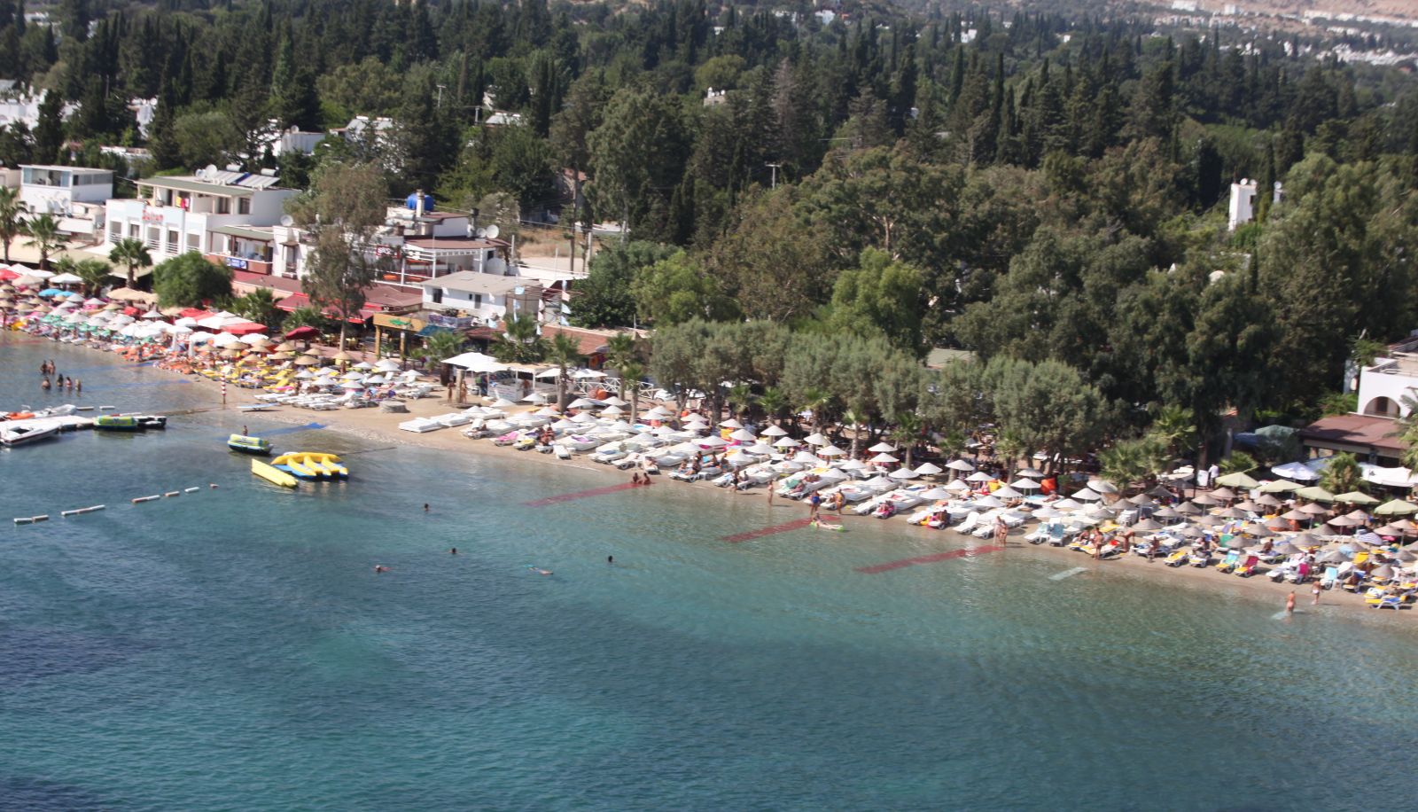 Strand - Okaliptus