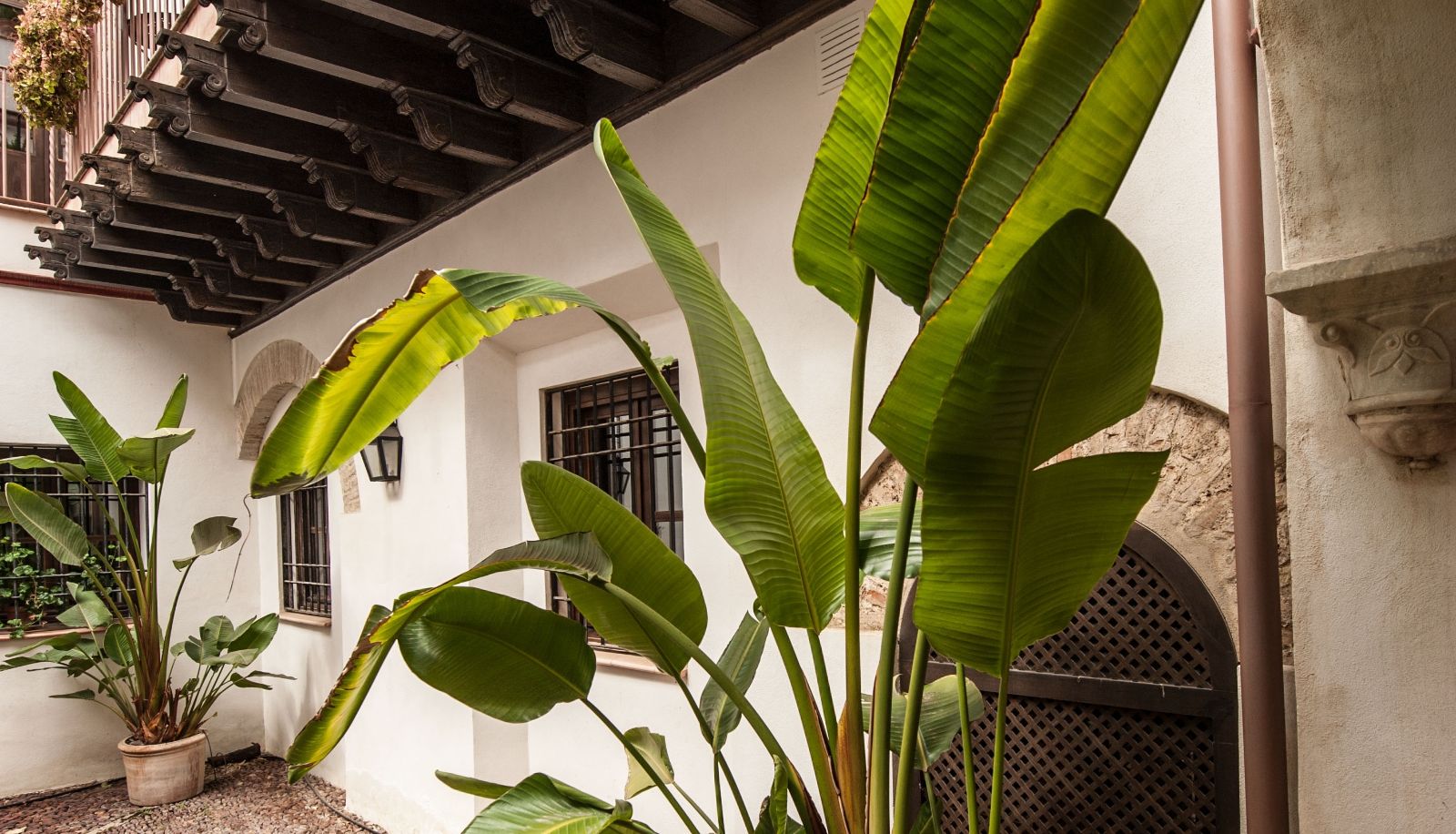 Wnętrze hotelu - Los Patios de la Juderia Apartamentos