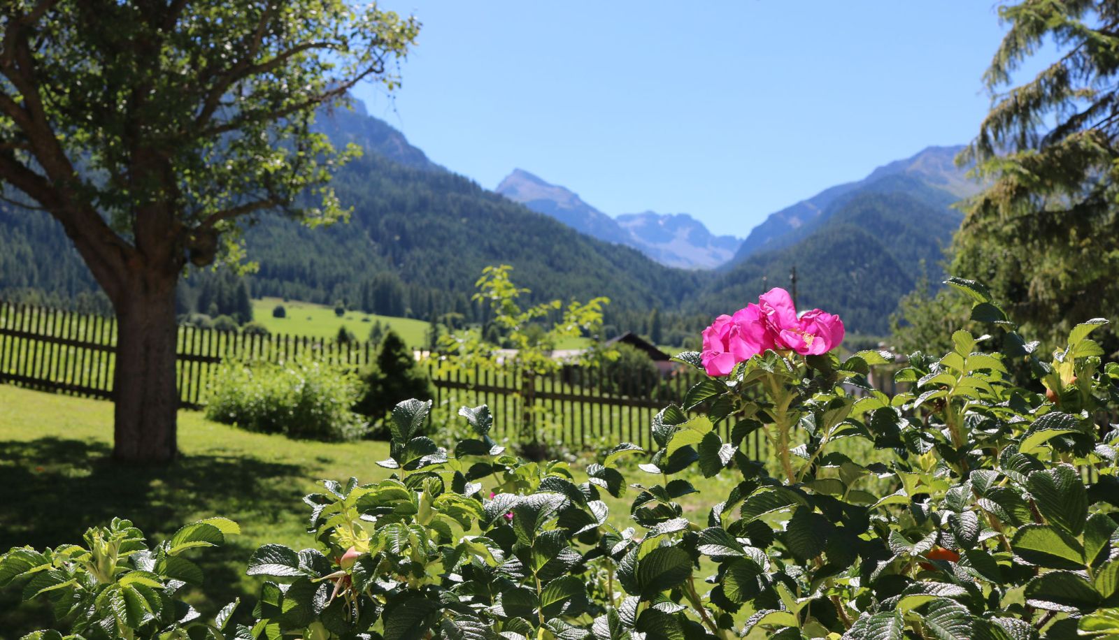 Tuin - Hotel Schweizerhof