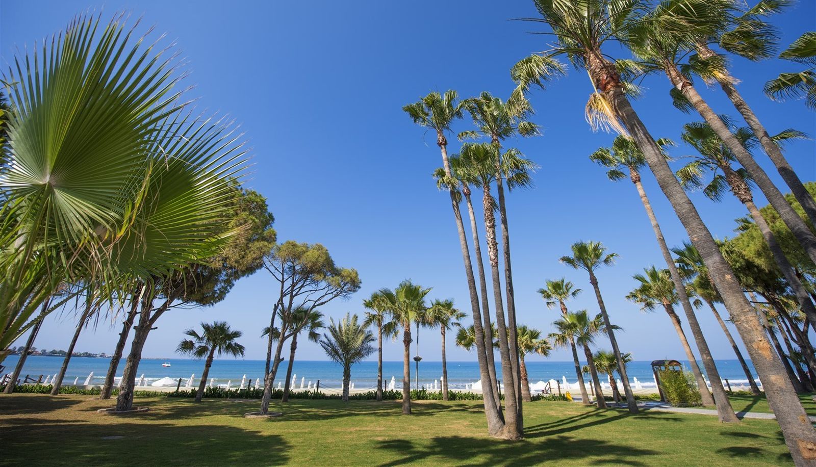 Giardino - Barut Acanthus &  Cennet