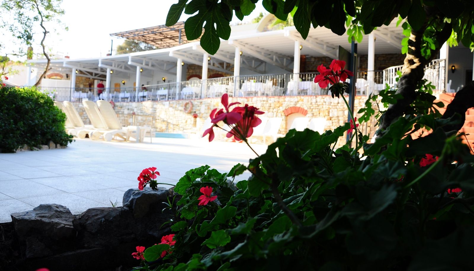 Giardino - Paloma Family Club