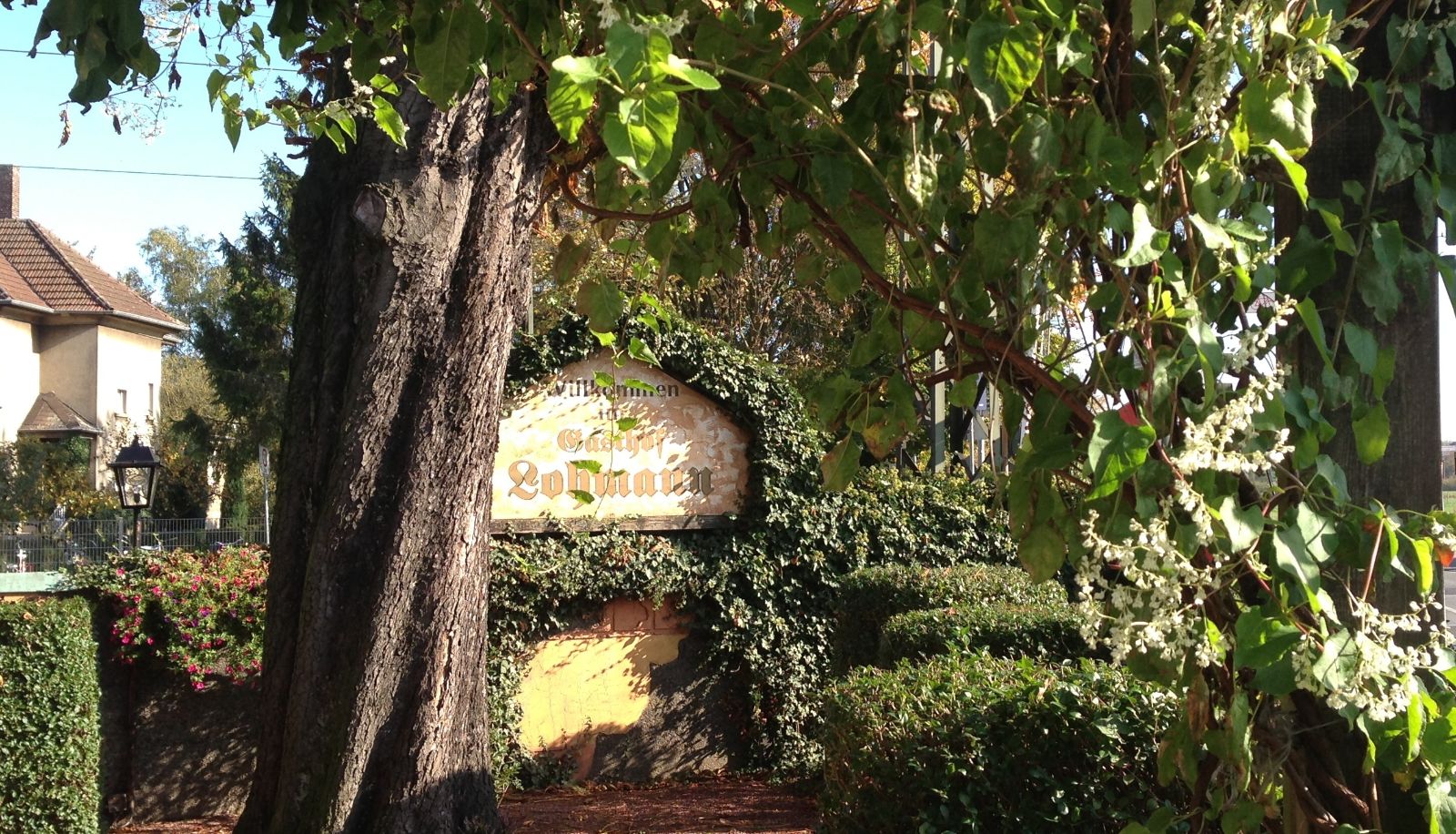 Giardino - Land-gut-Hotel Lohmann