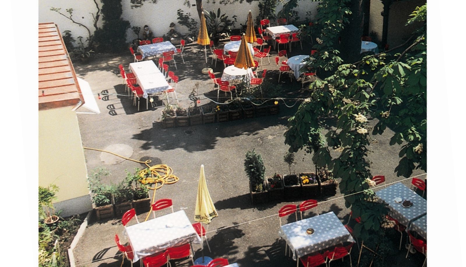 Terras - Krone