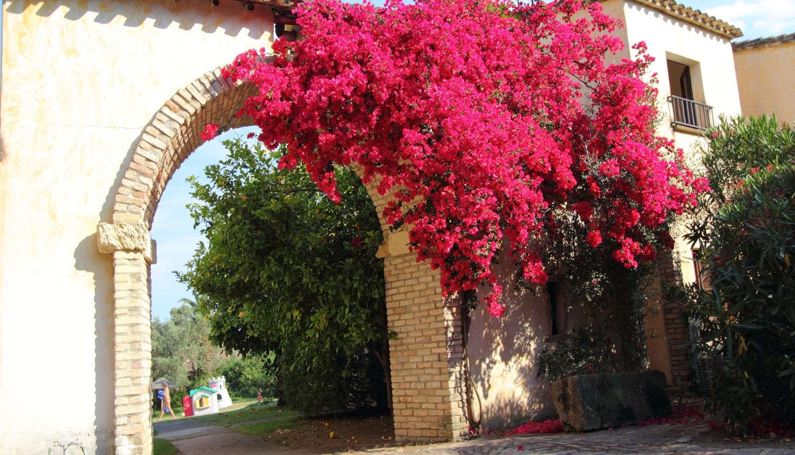 Garten - Costa dei Fiori