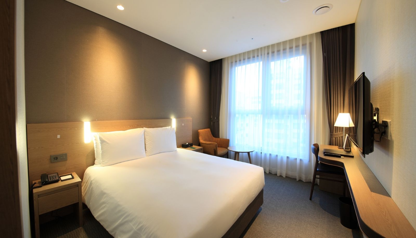 Standard room (single) - IBC