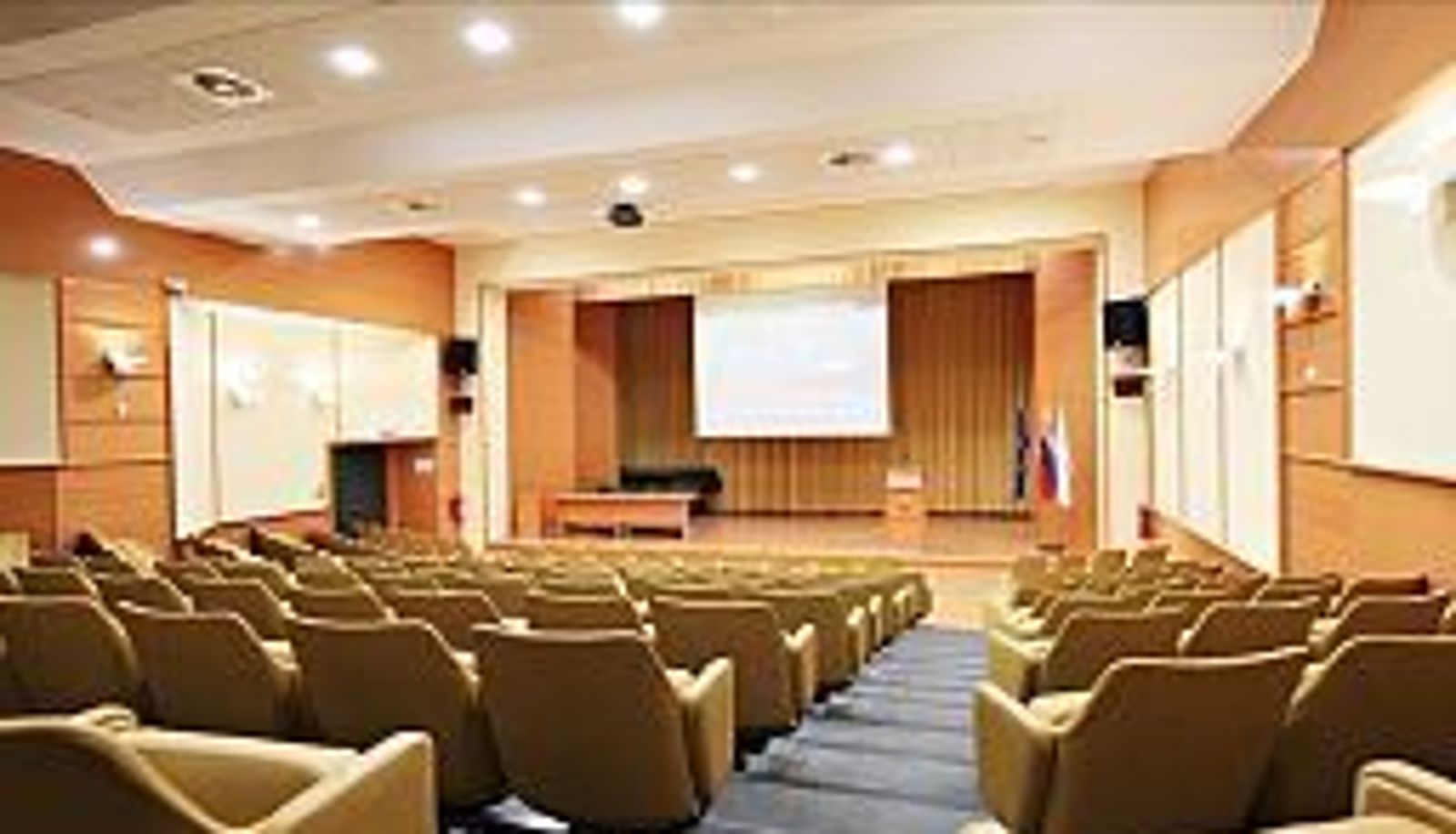 Sala conferenze - Radin Sava Hotels & Resorts
