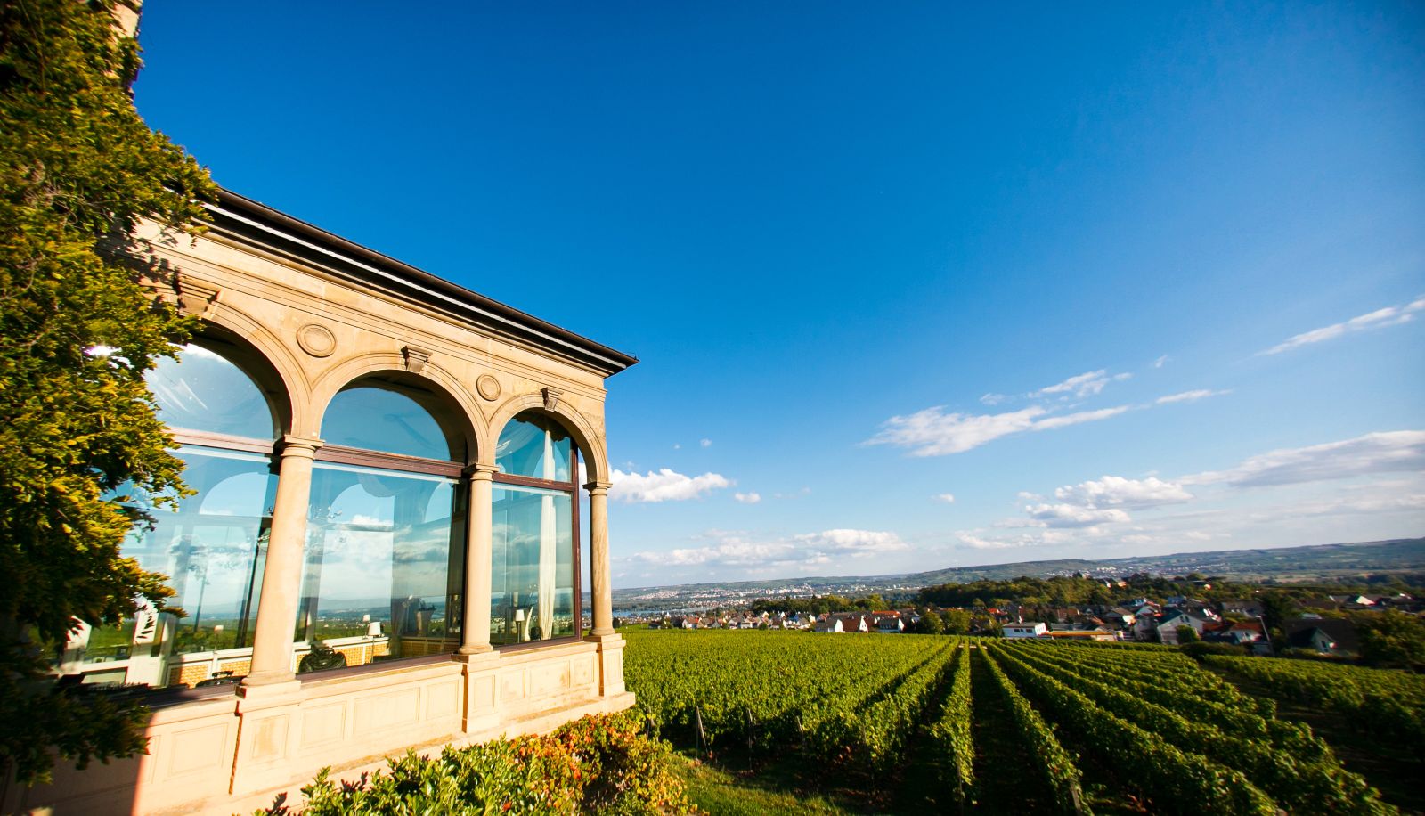 View - Burg & Gästehaus by Schwarzenstein
