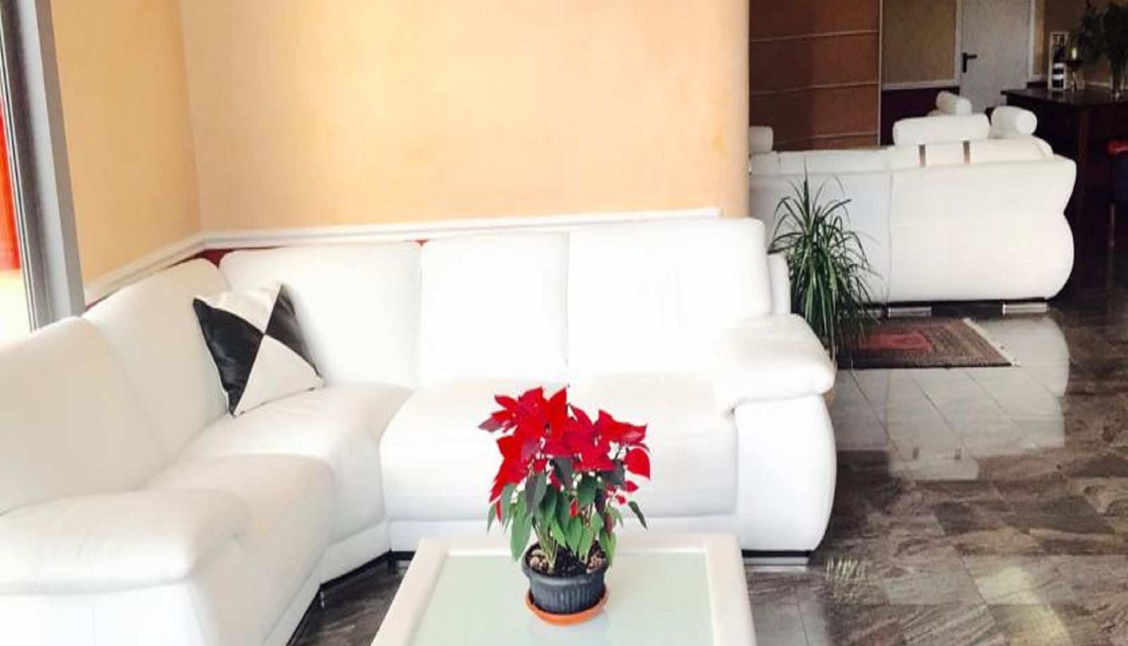 Salón - Ala Bianca