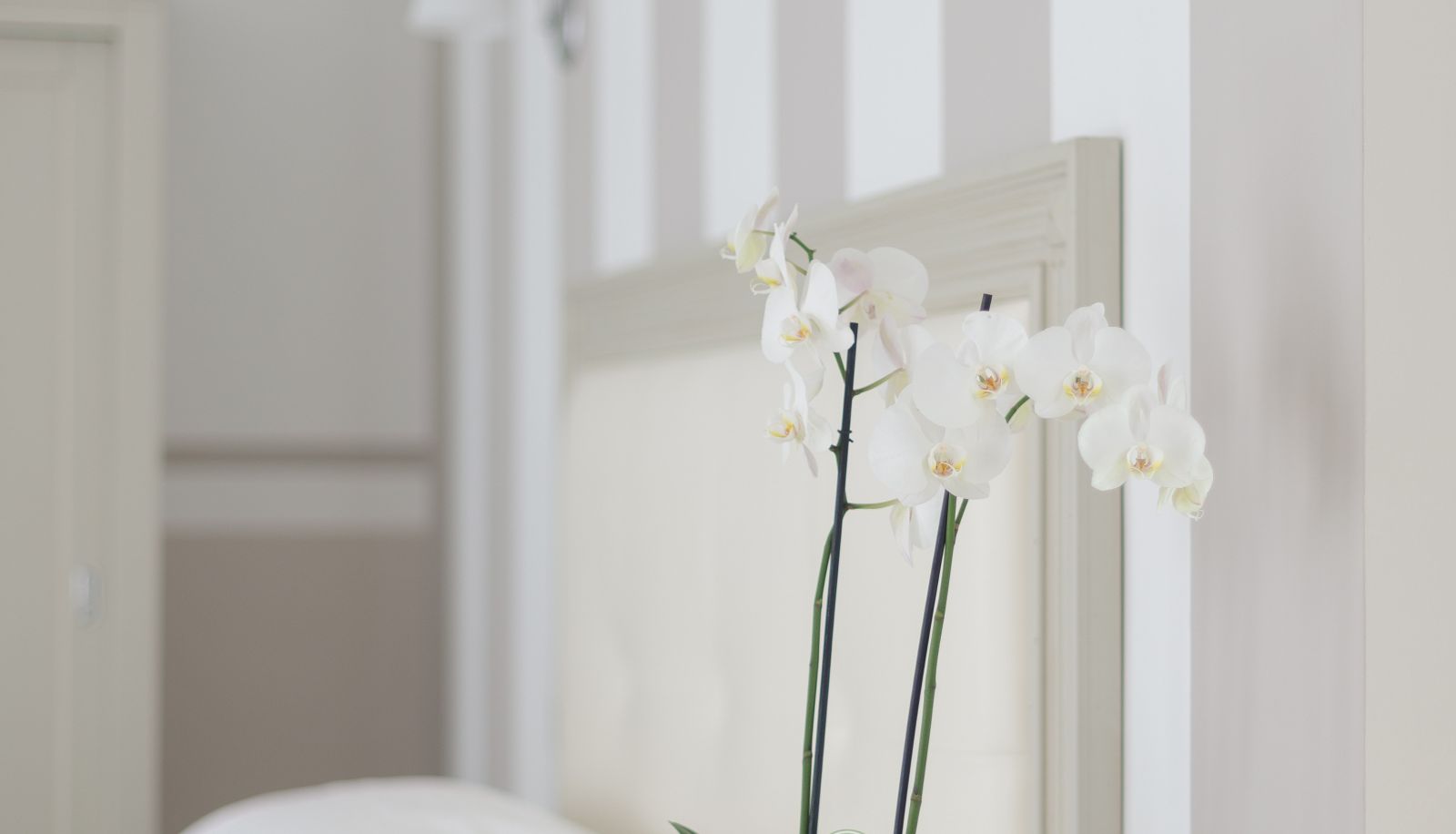 Suite - Gruppo Luxe Domus