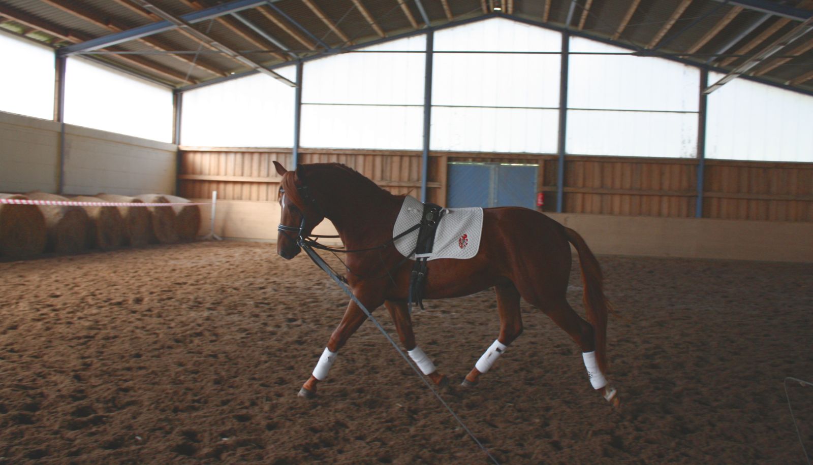 Manege - Gut Tribbevitz