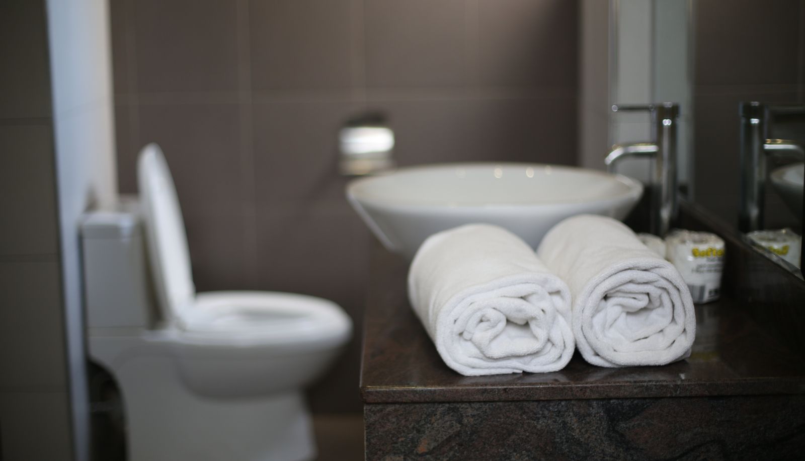 Bathroom - Tagore Apartments