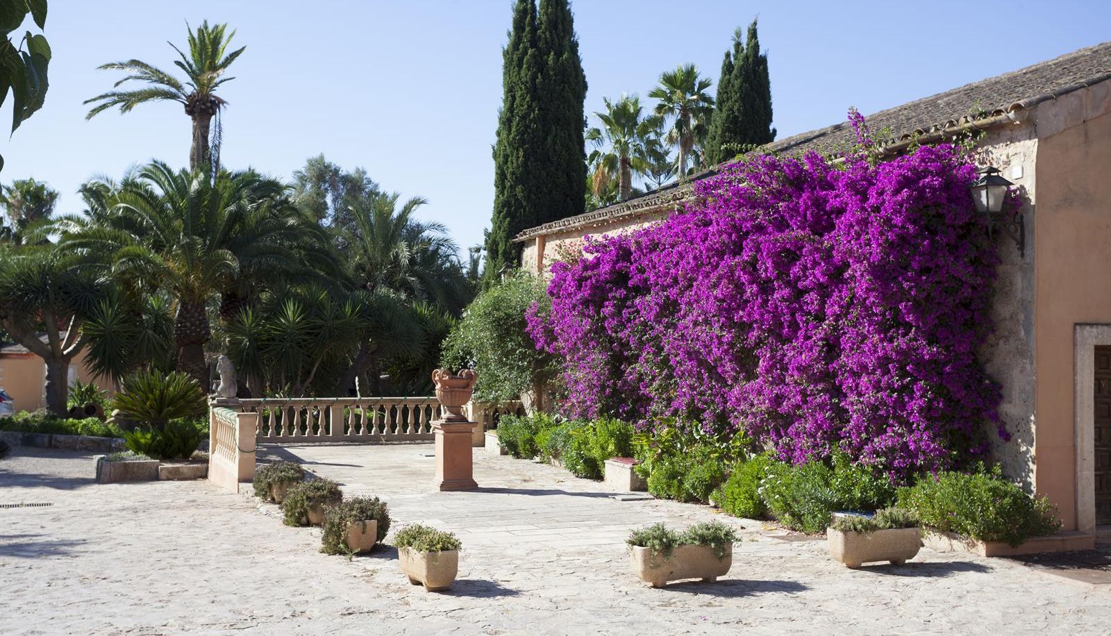 Terrazza - Es Revellar Art Resort