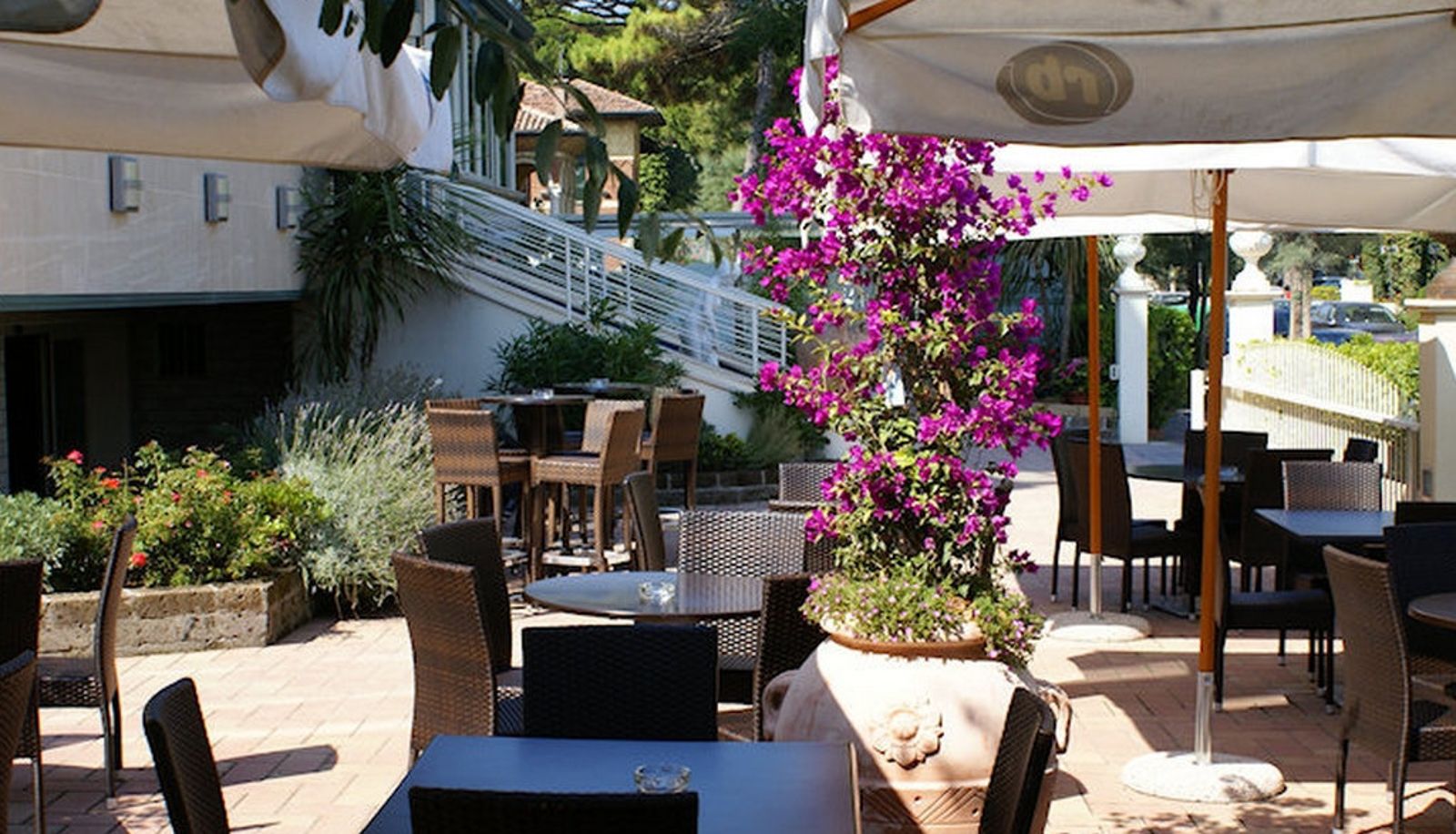Giardino - Lady Mary
