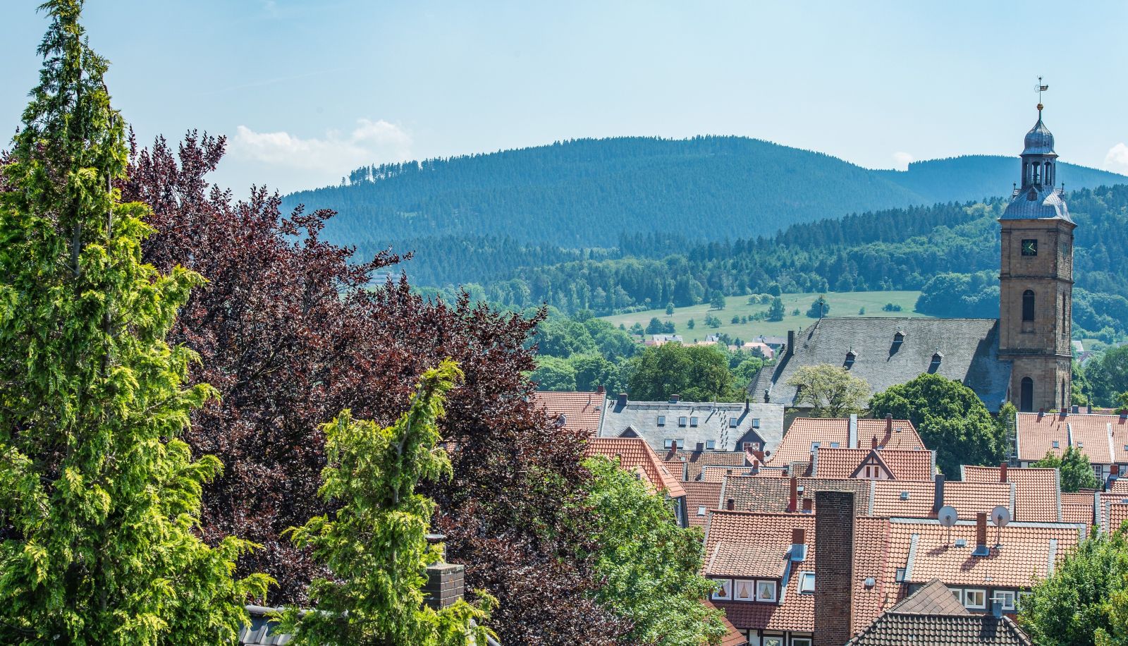 Vue - AKZENT Hotel Villa Saxer