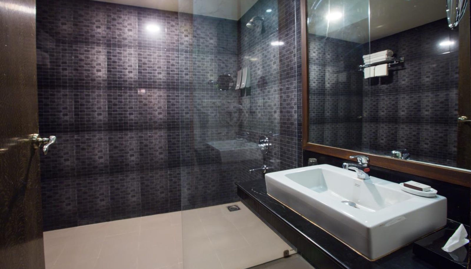 Bathroom - Residency Club Pune