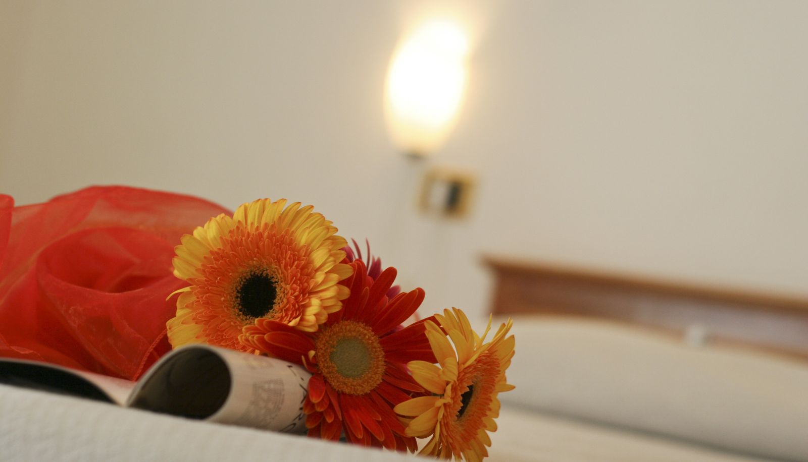 Standard room (single) - Joli Park Hotel