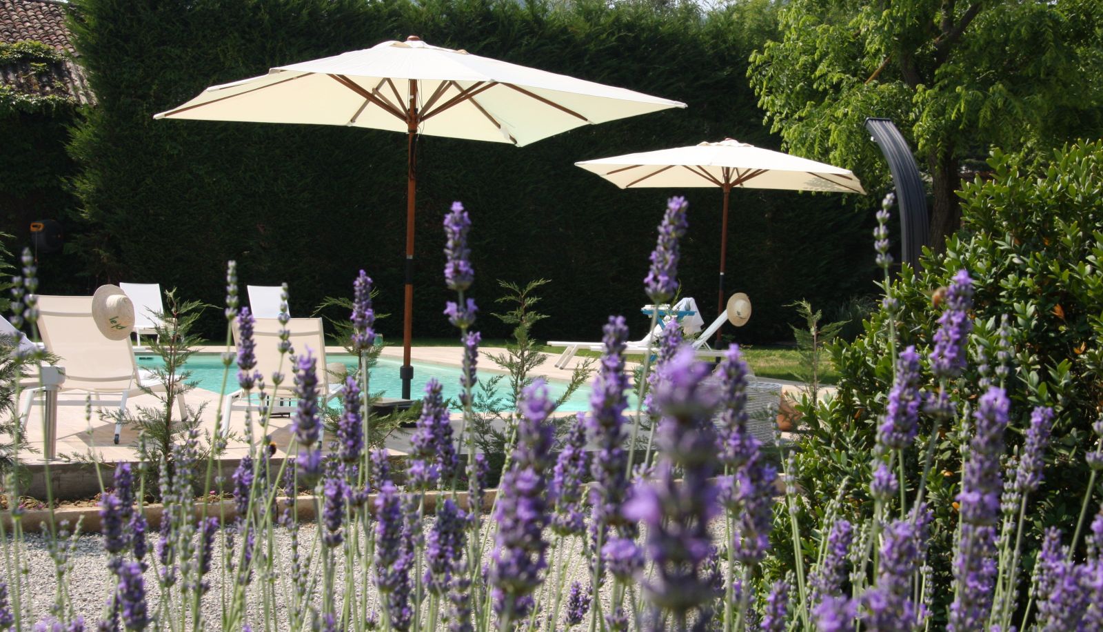 Garden - ANTICO CASALE MATTEI