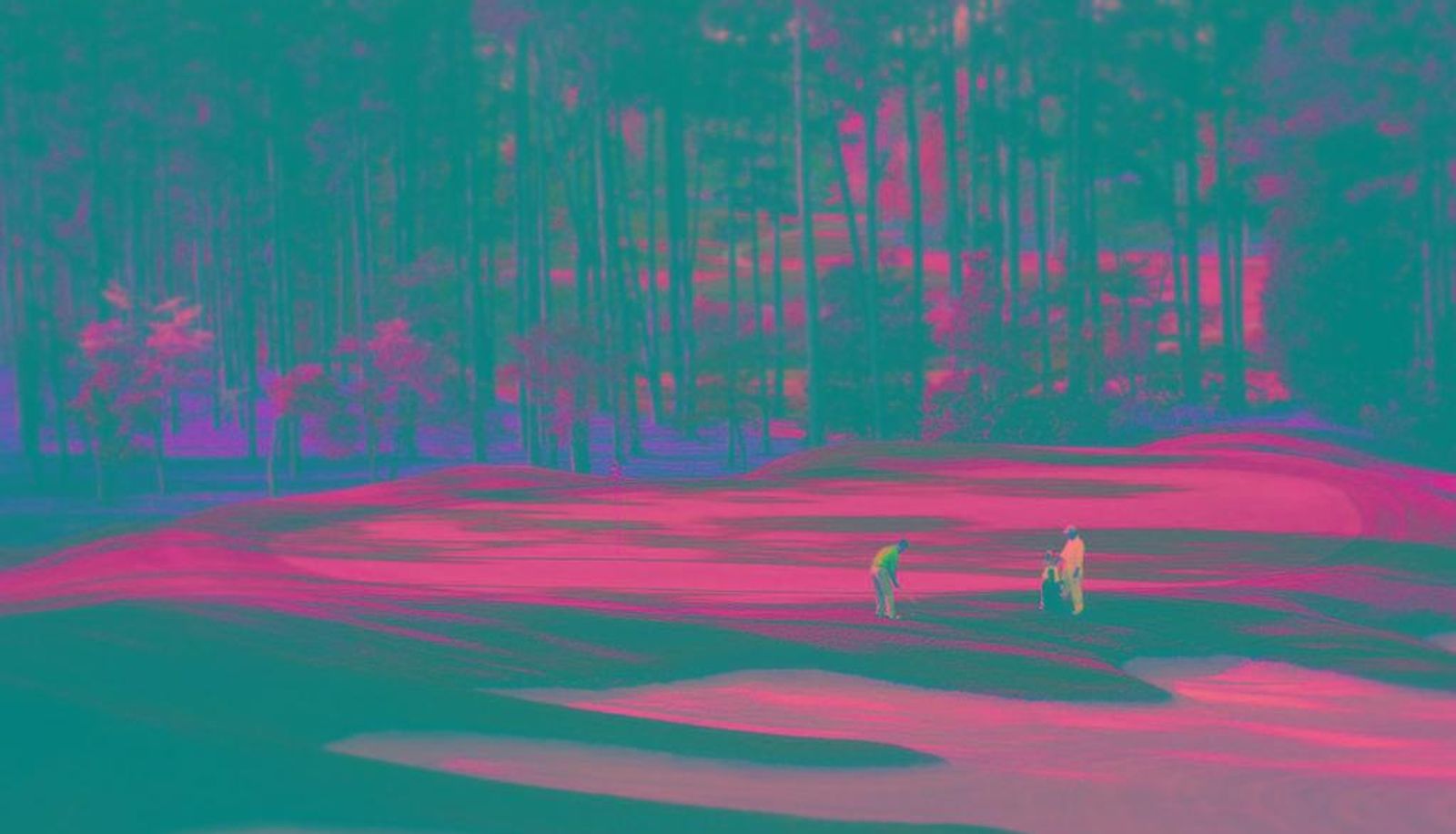 Centrum biznesowe - Pinehurst Resort