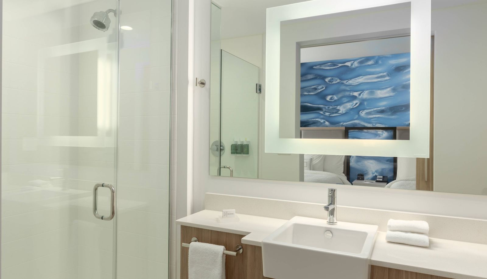 Zimmer - SpringHill Suites by Marriott Bradenton Downtown Riverfront
