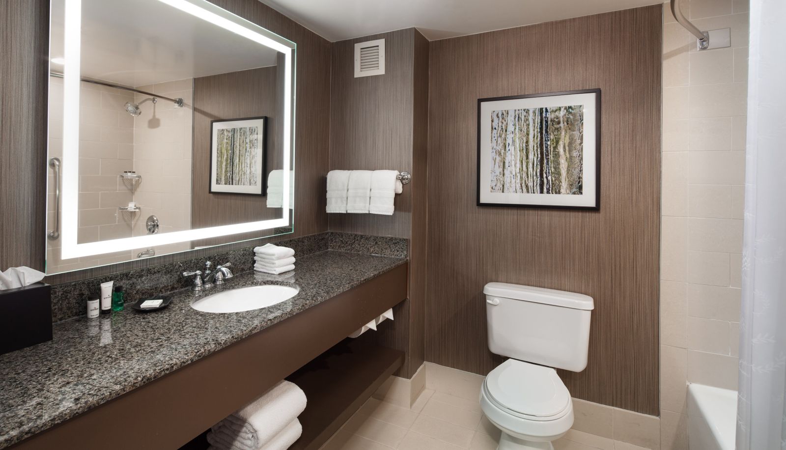 Kamer - Sheraton Agoura Hills Hotel
