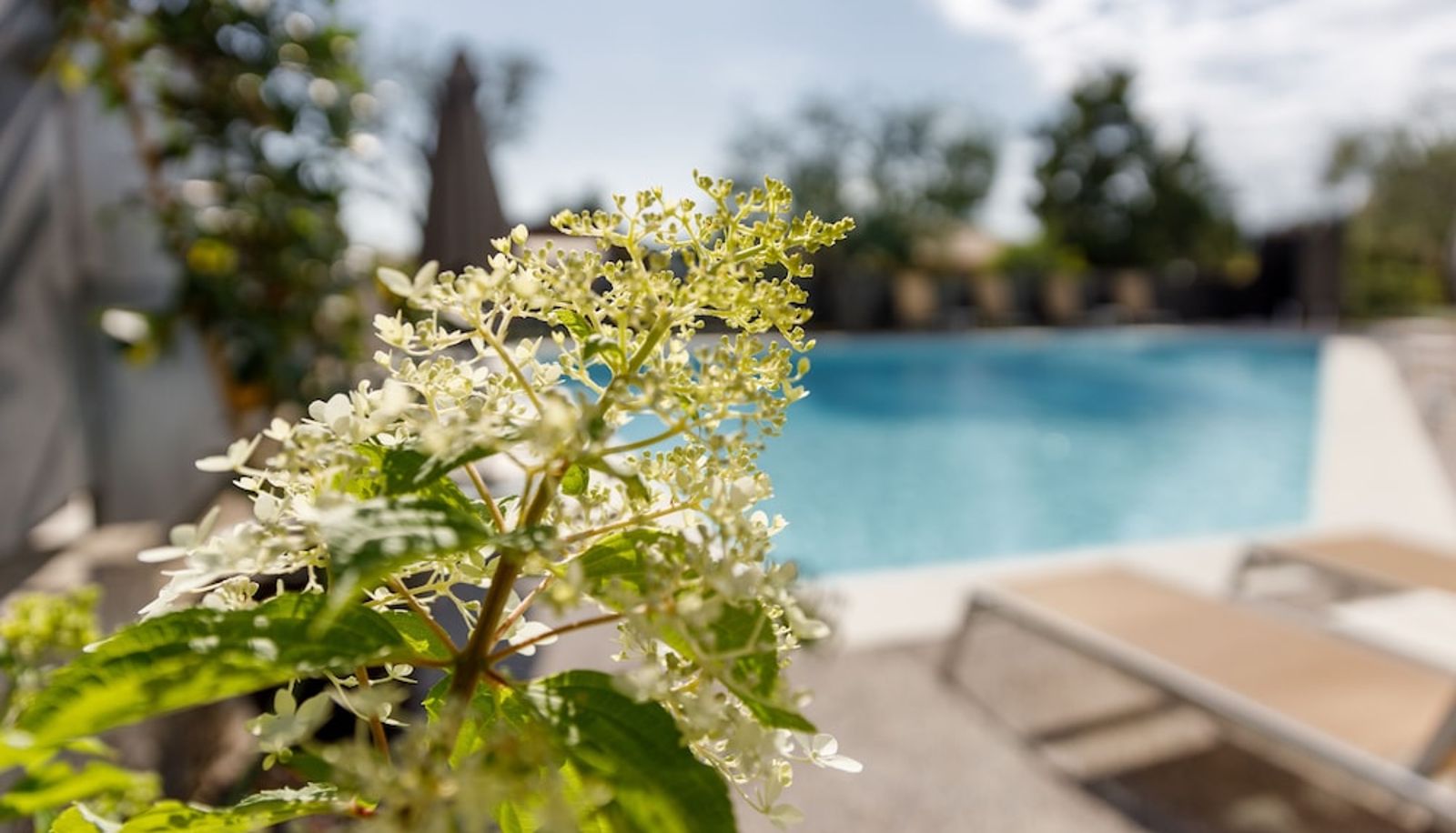 Piscina - Ventaglio