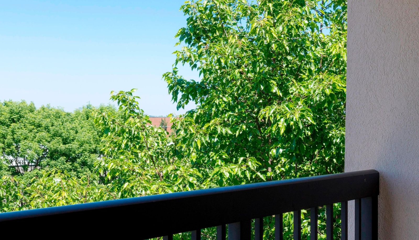 Room - Courtyard by Marriott Cranbury South Brunswick