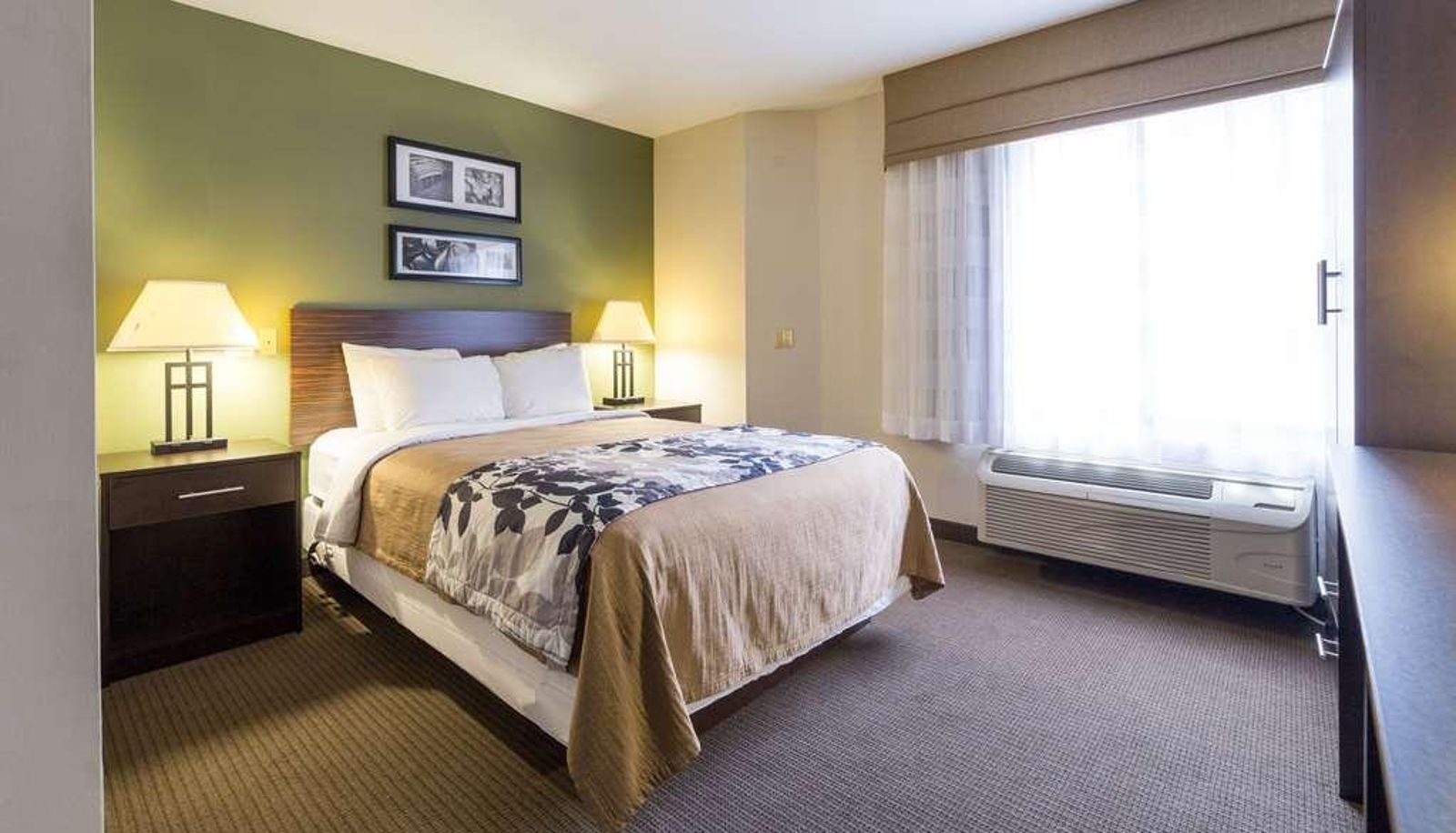 Standard room (double) - Sleep Inn Phoenix Sky Harbor Arpt