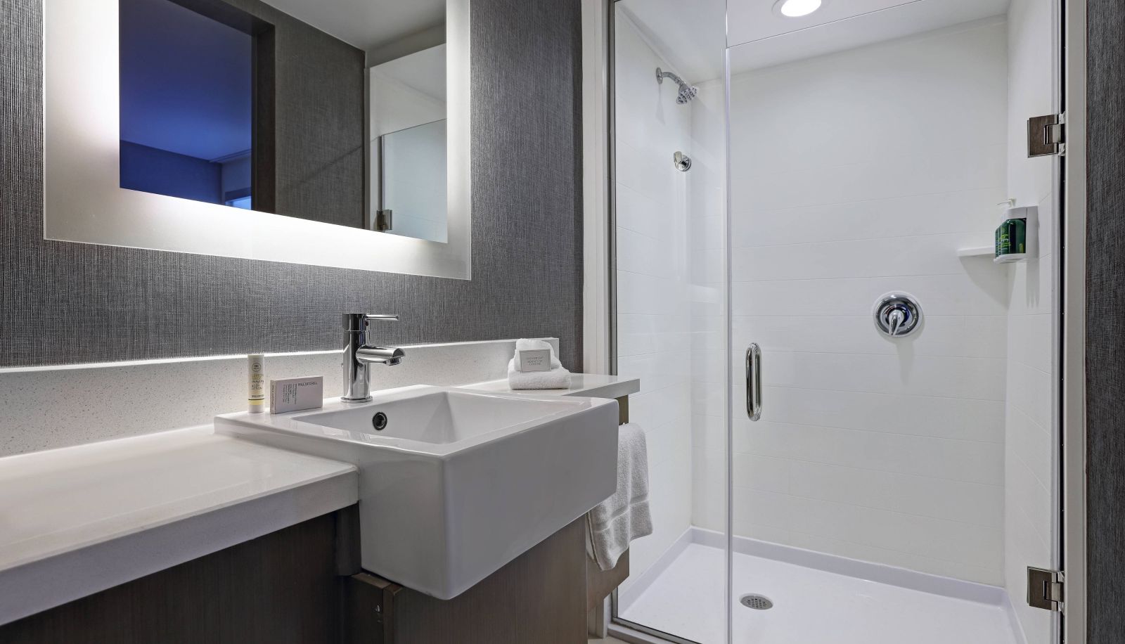 Kamer - SpringHill Suites by Marriott Palm Desert