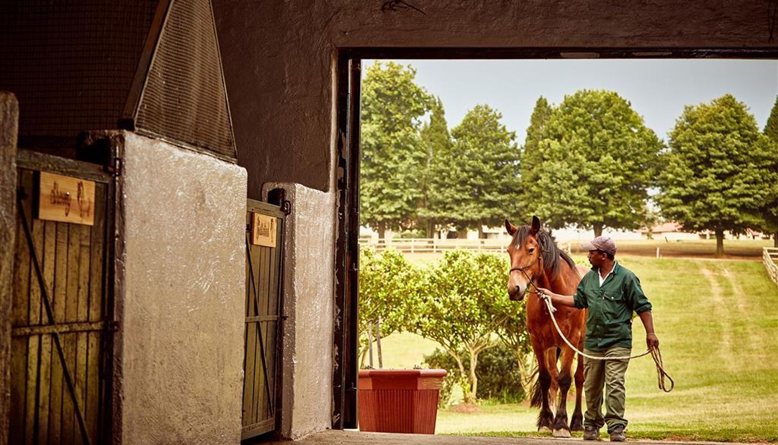 Vista interna - Midlands Saddle And Trout