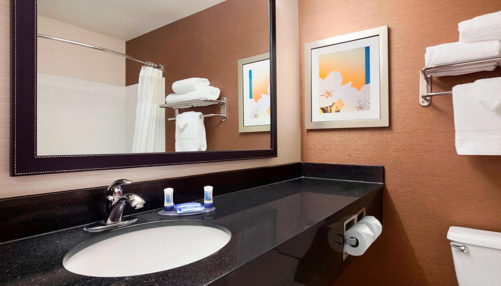 Kamer - Fairfield Inn and Suites by Marriott Lansing West