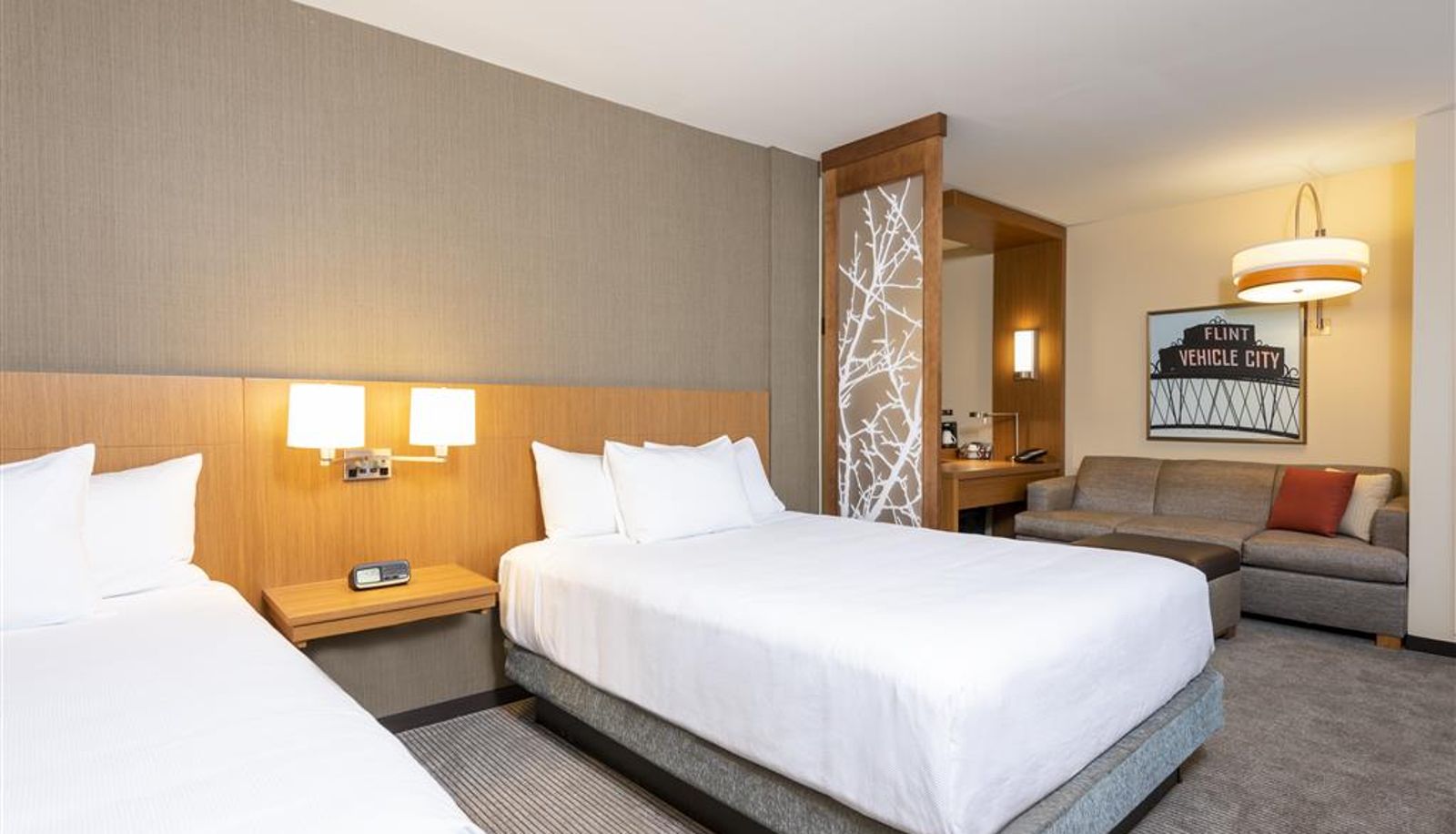 Camera - Hyatt Place Flint/Grand Blanc