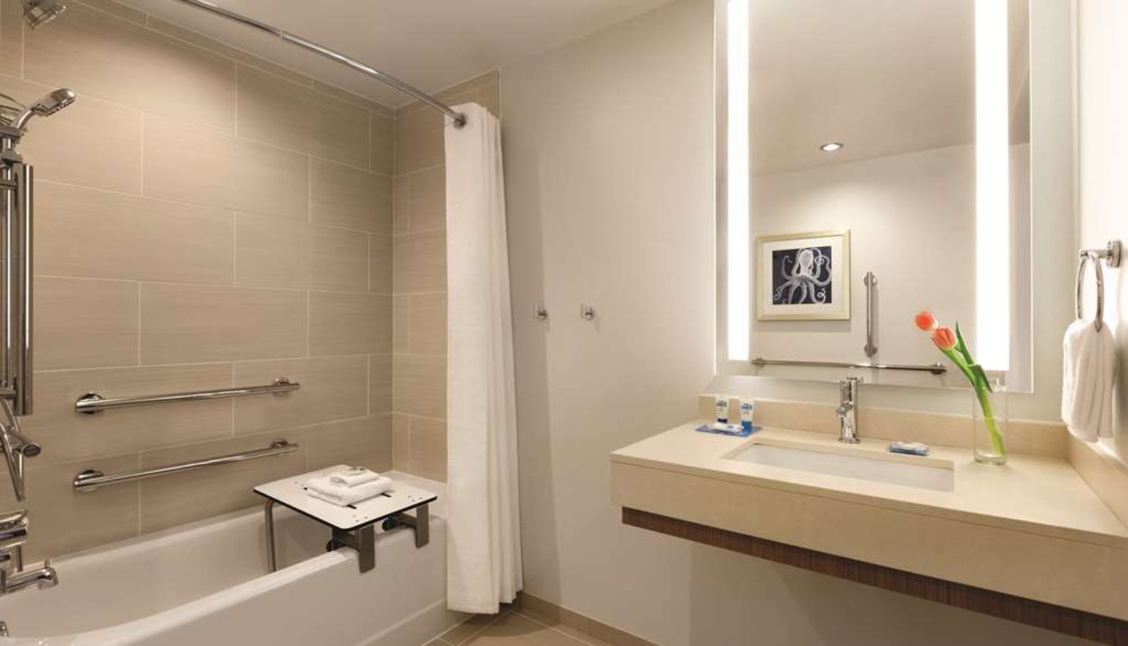 Zimmer - Hyatt House Virginia Beach/Oceanfront