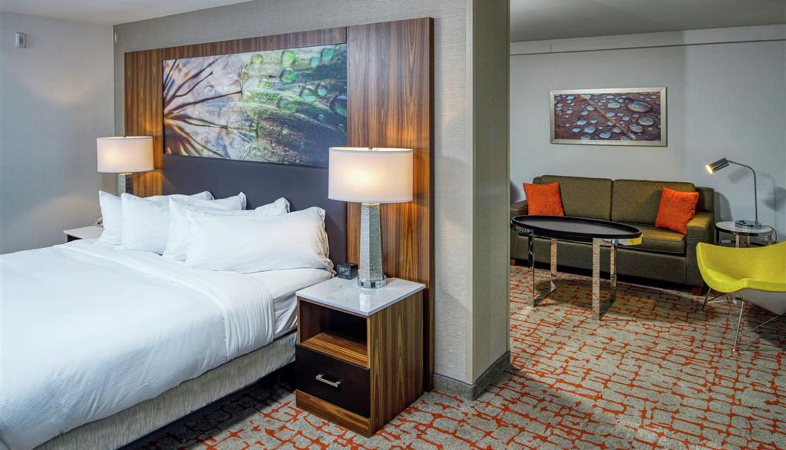 Zimmer - DoubleTree by Hilton Appleton