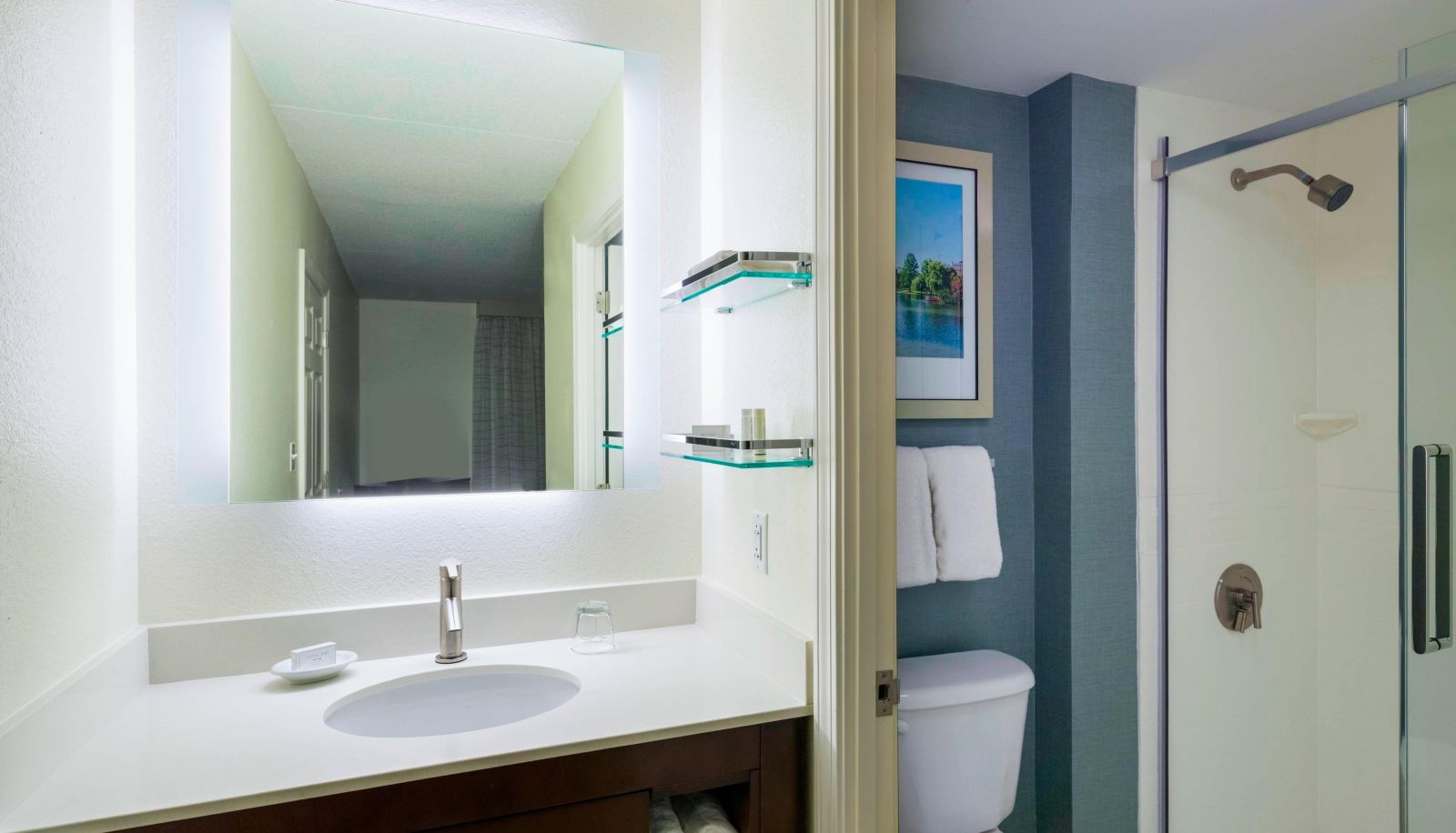 Kamer - Residence Inn by Marriott Boston Framingham