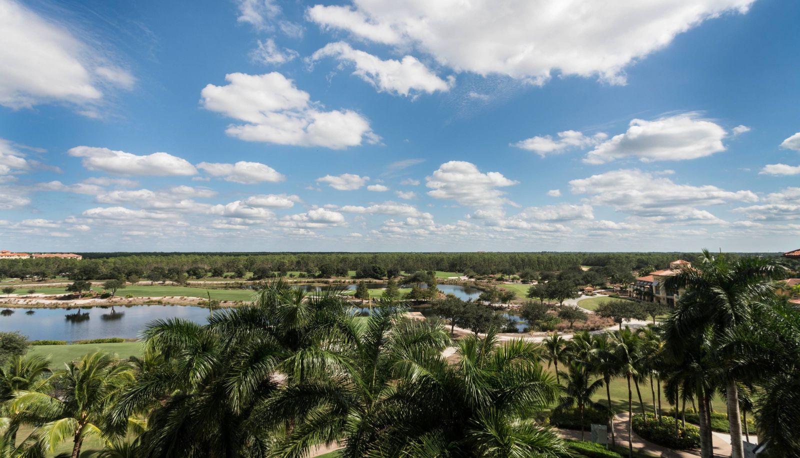 Habitación - The Ritz-Carlton Naples Tiburon