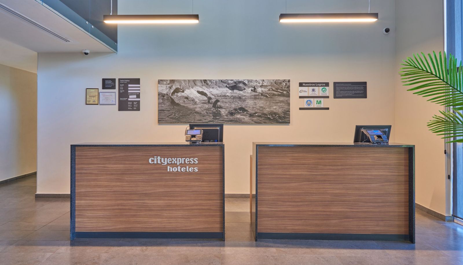 Lobby - City Express by Marriott Guaymas