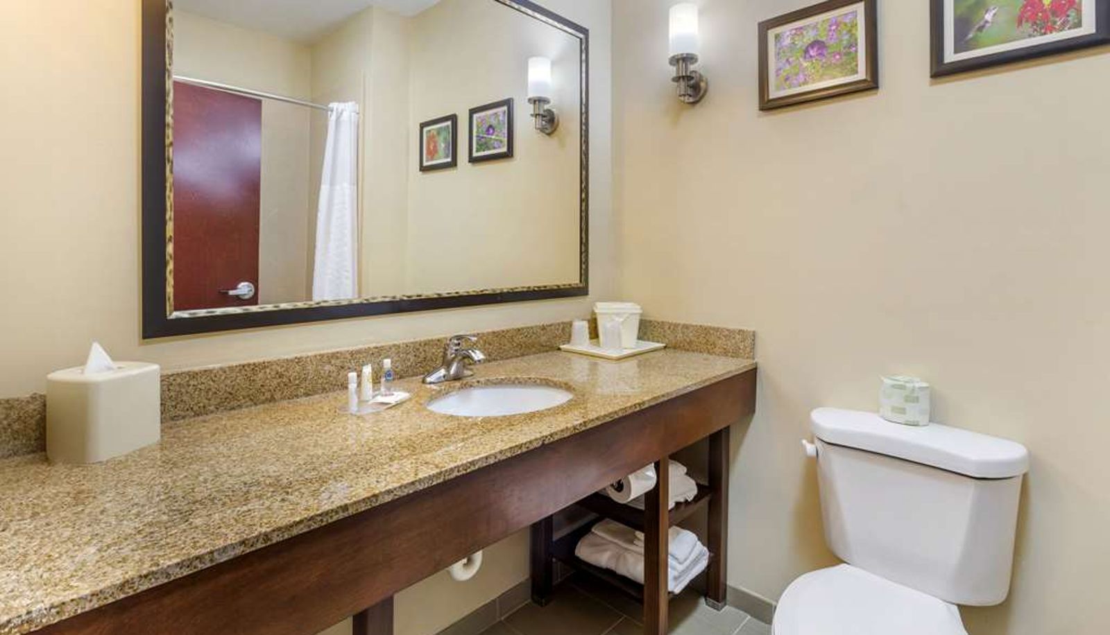 Zimmer - Comfort Suites Wilson - I - 95
