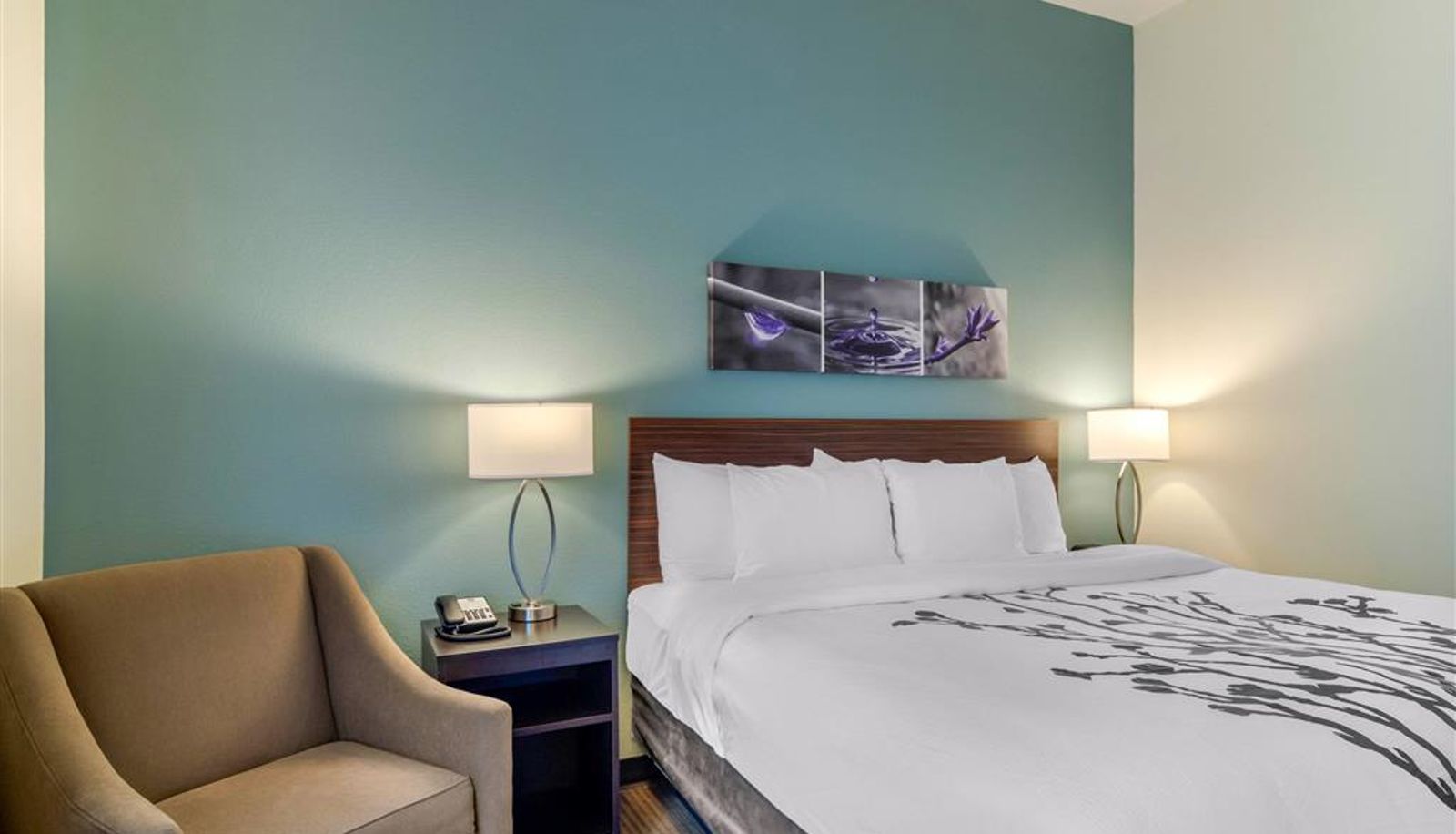 Kamer - Sleep Inn Newnan Atlanta South
