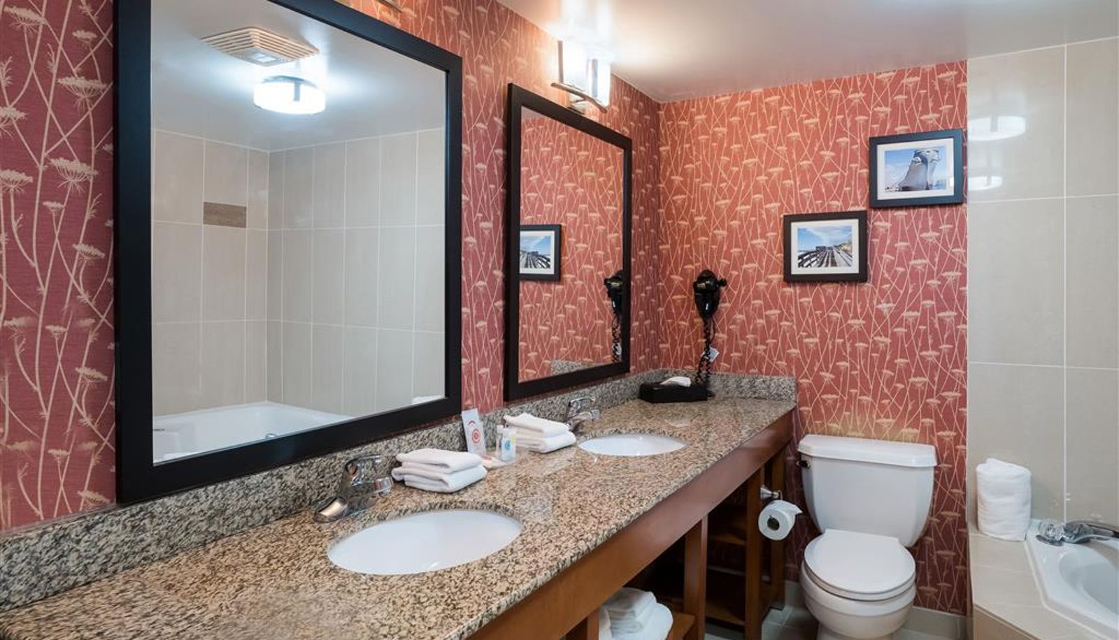 Pokój - Comfort Suites Suffolk - Chesapeake