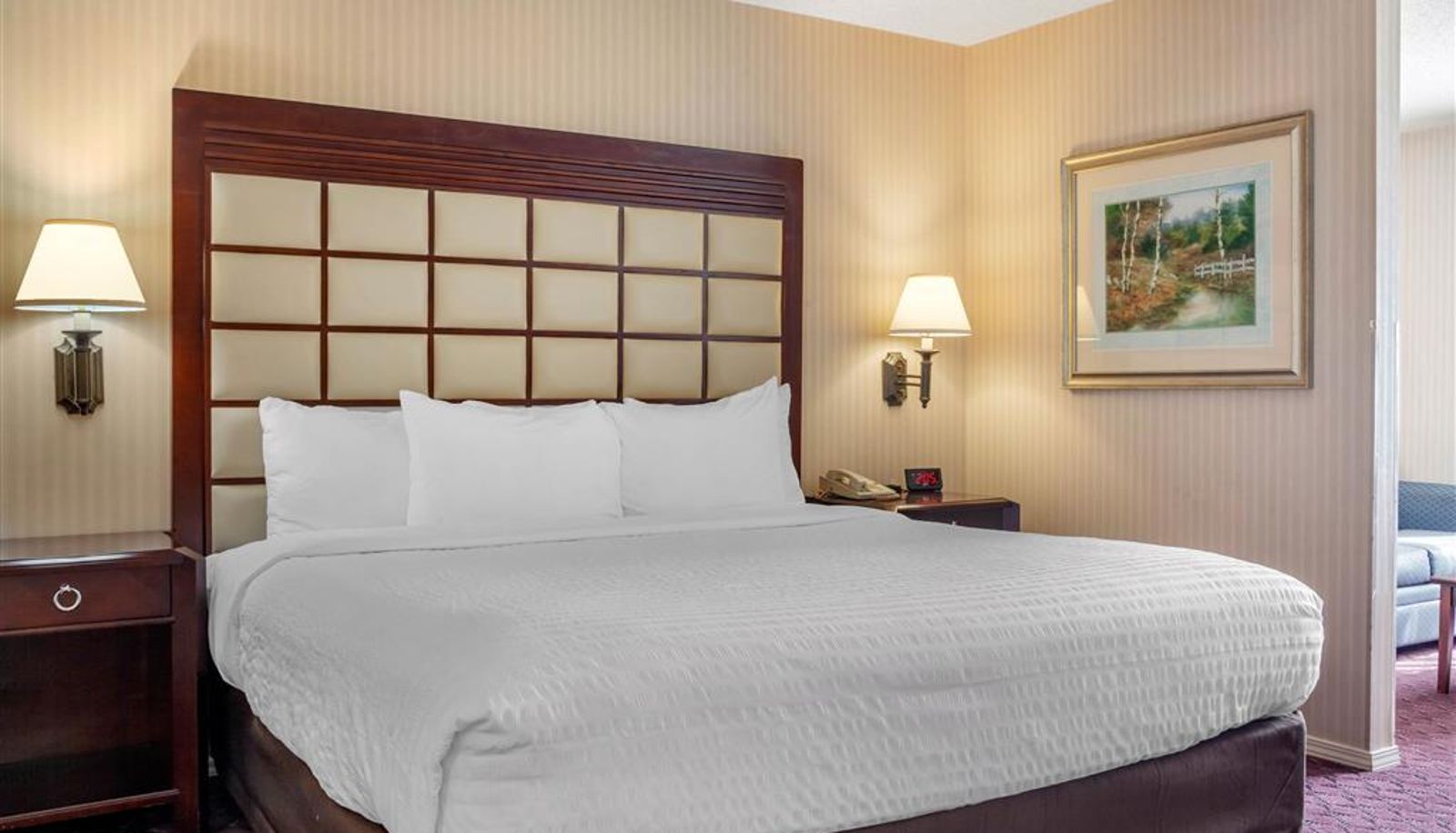 Room - Clarion Hotel & Suites