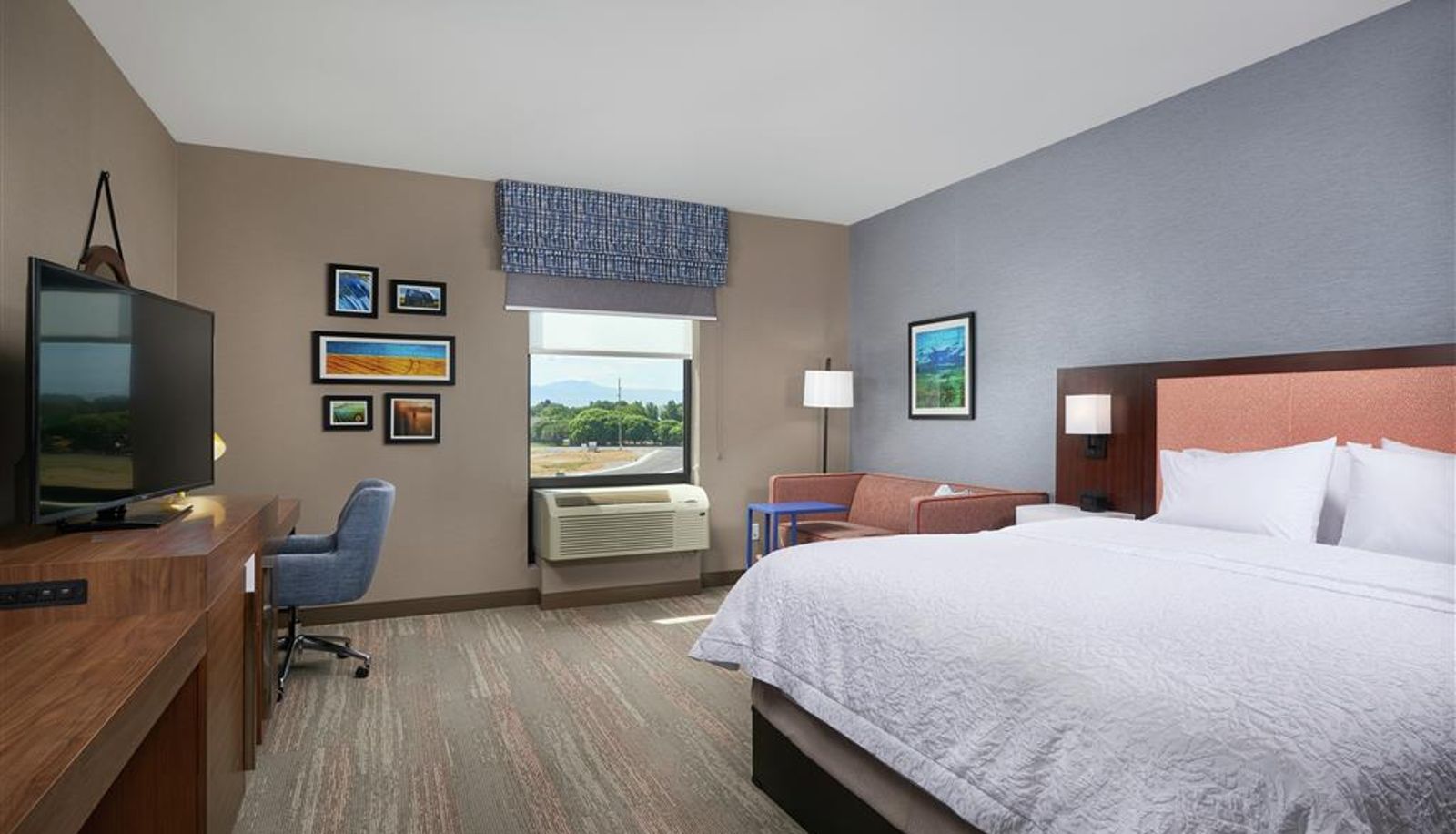 Zimmer - Hampton Inn by Hilton Burley