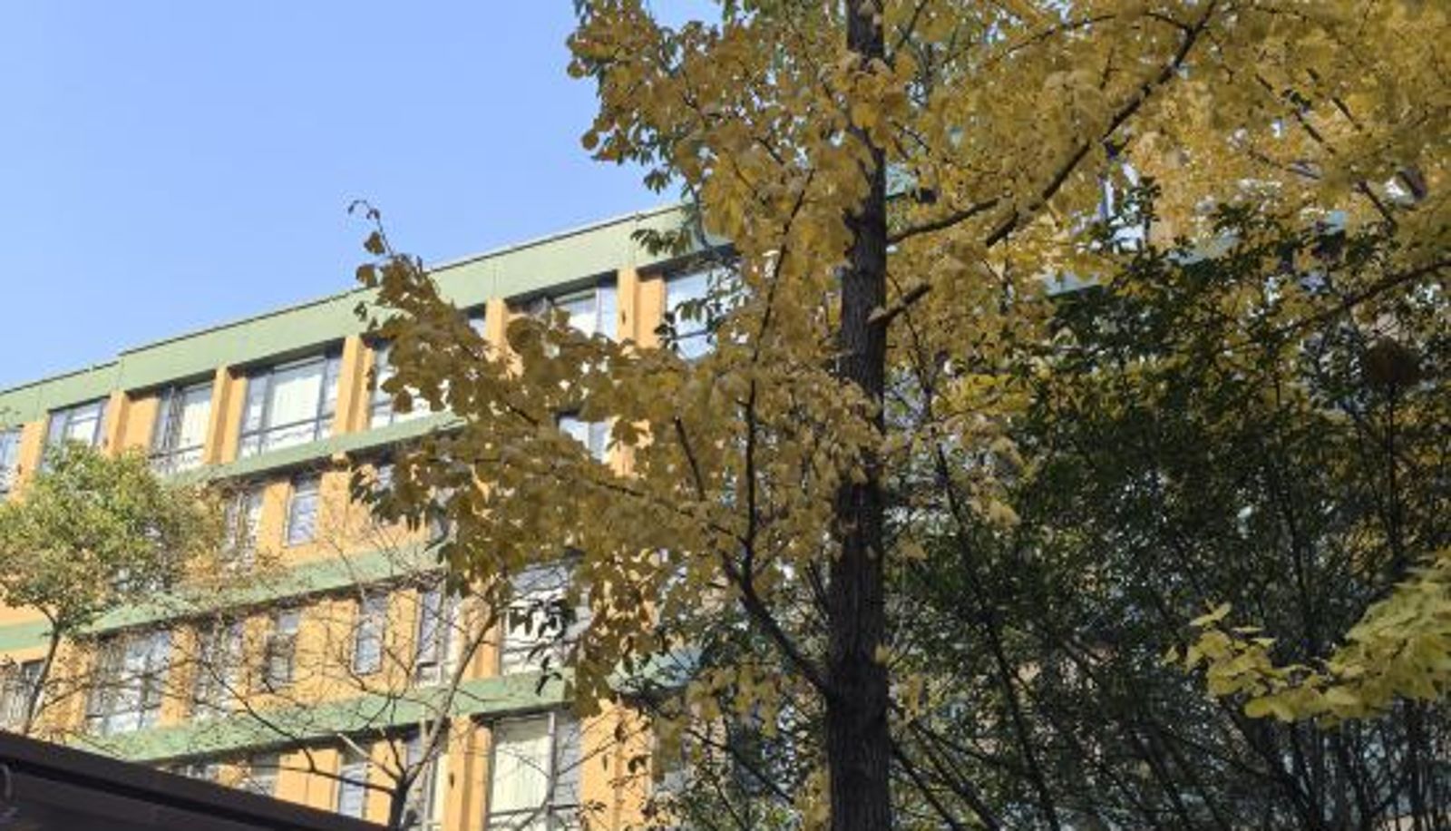 Pokój - QUEENS VILLA