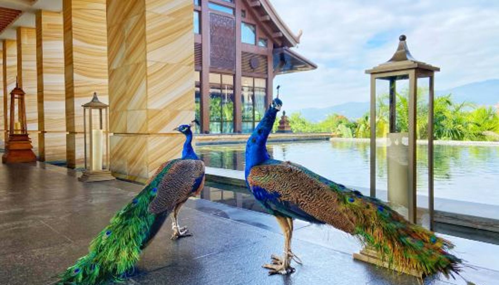Vista interna - Wanda Vista Resort Xishuangbanna