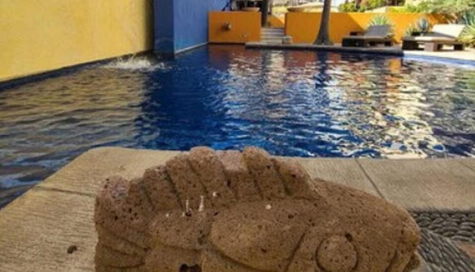 Pool - Casa Natalia Boutique Hotel