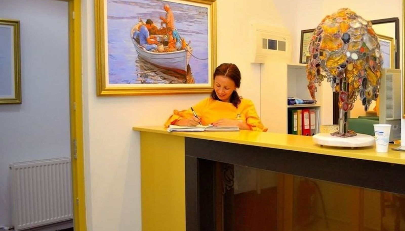 Réception - Bucur Accommodation
