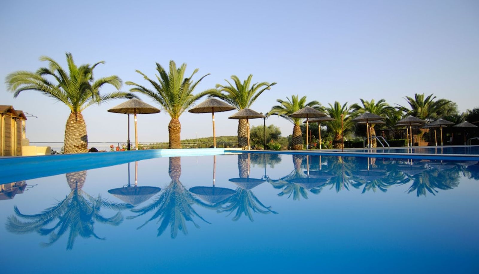 Pool - Blue Dolphin Hotel