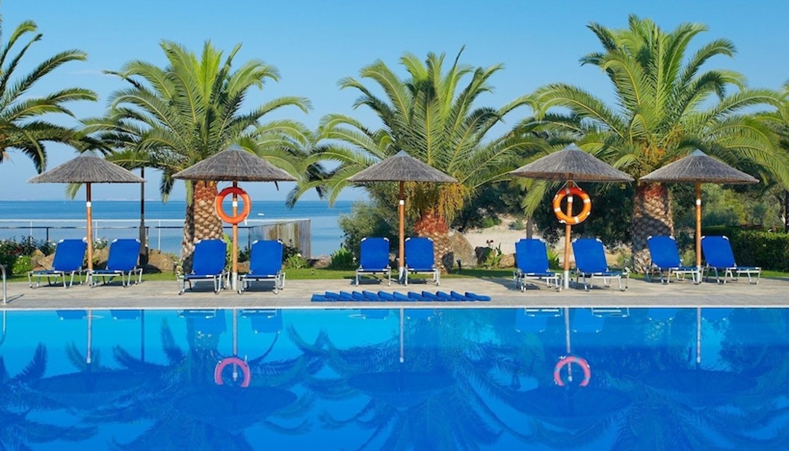 Pool - Blue Dolphin Hotel