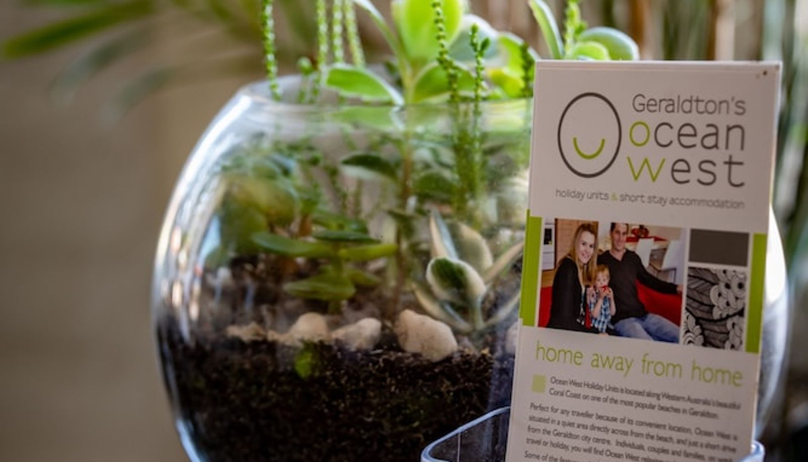 Rezeption - Geraldton's Ocean West