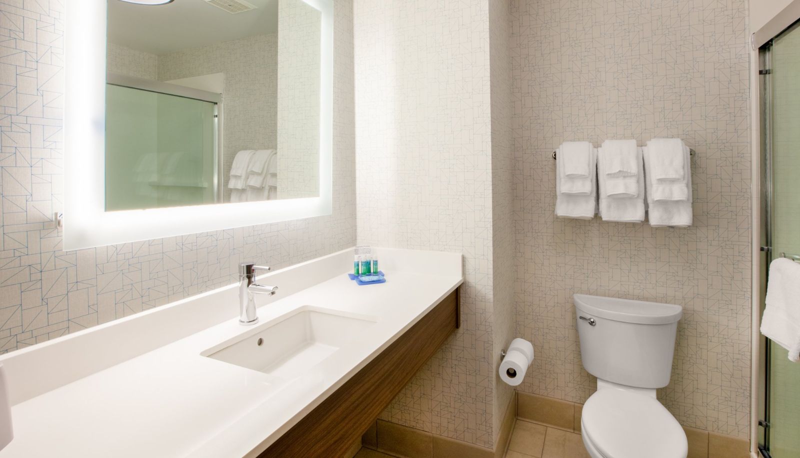 Zimmer - Holiday Inn Express & Suites DALLAS MARKET CTR - LOVE FIELD by IHG