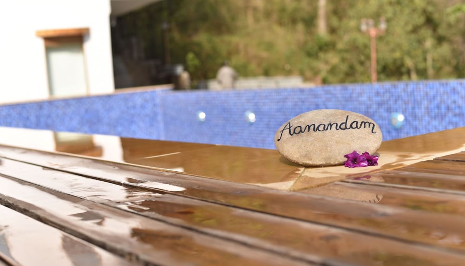 Pool - Shaantam Resorts & Spa